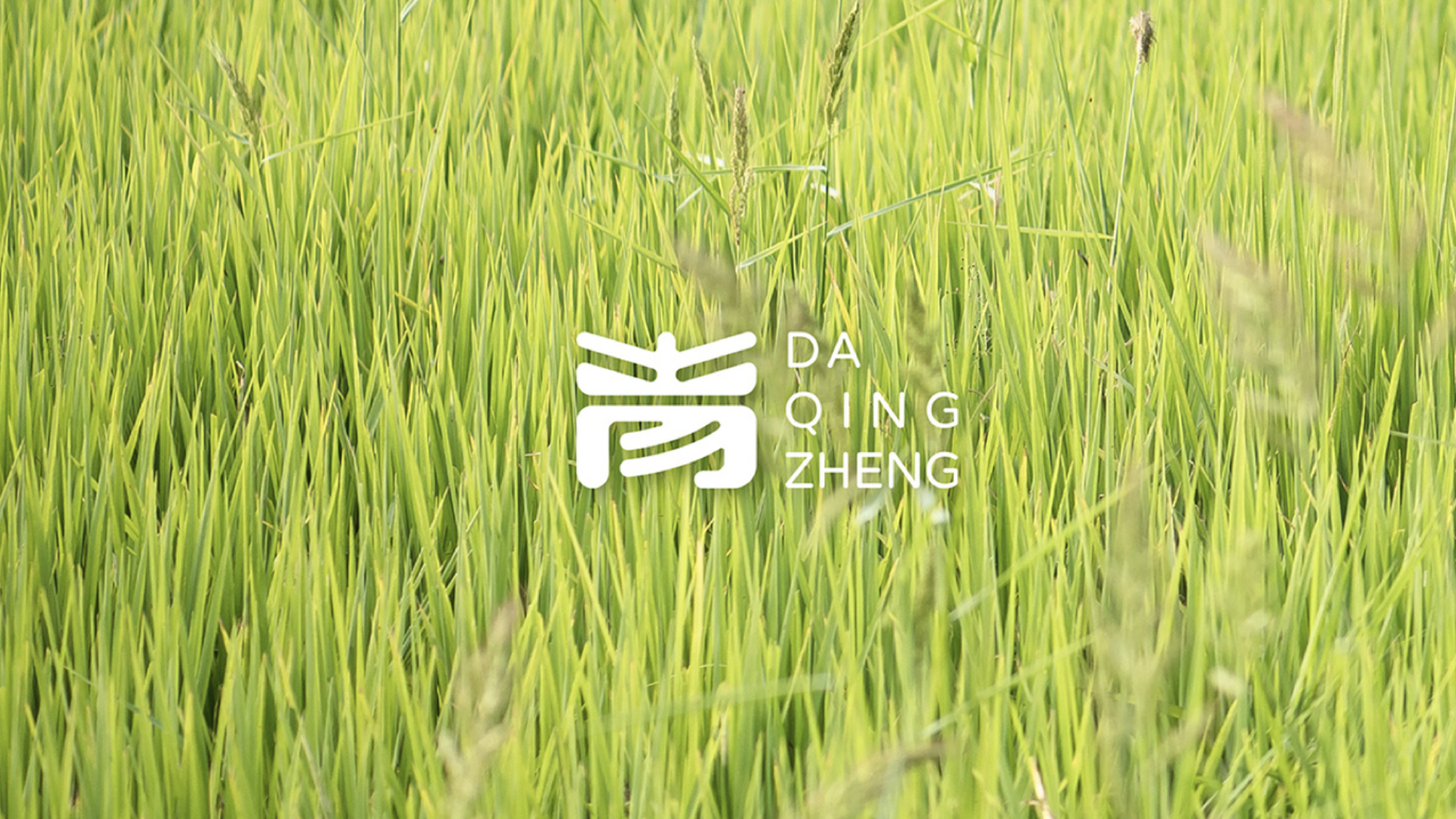 農(nóng)業(yè)vi設(shè)計.jpg