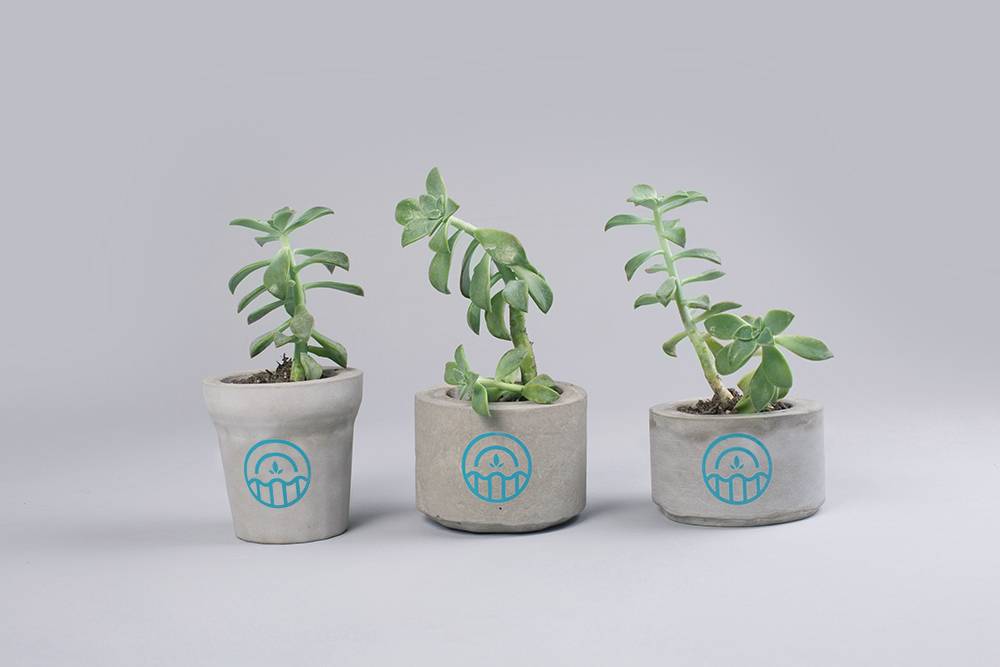 新能源品牌設(shè)計(jì).jpg