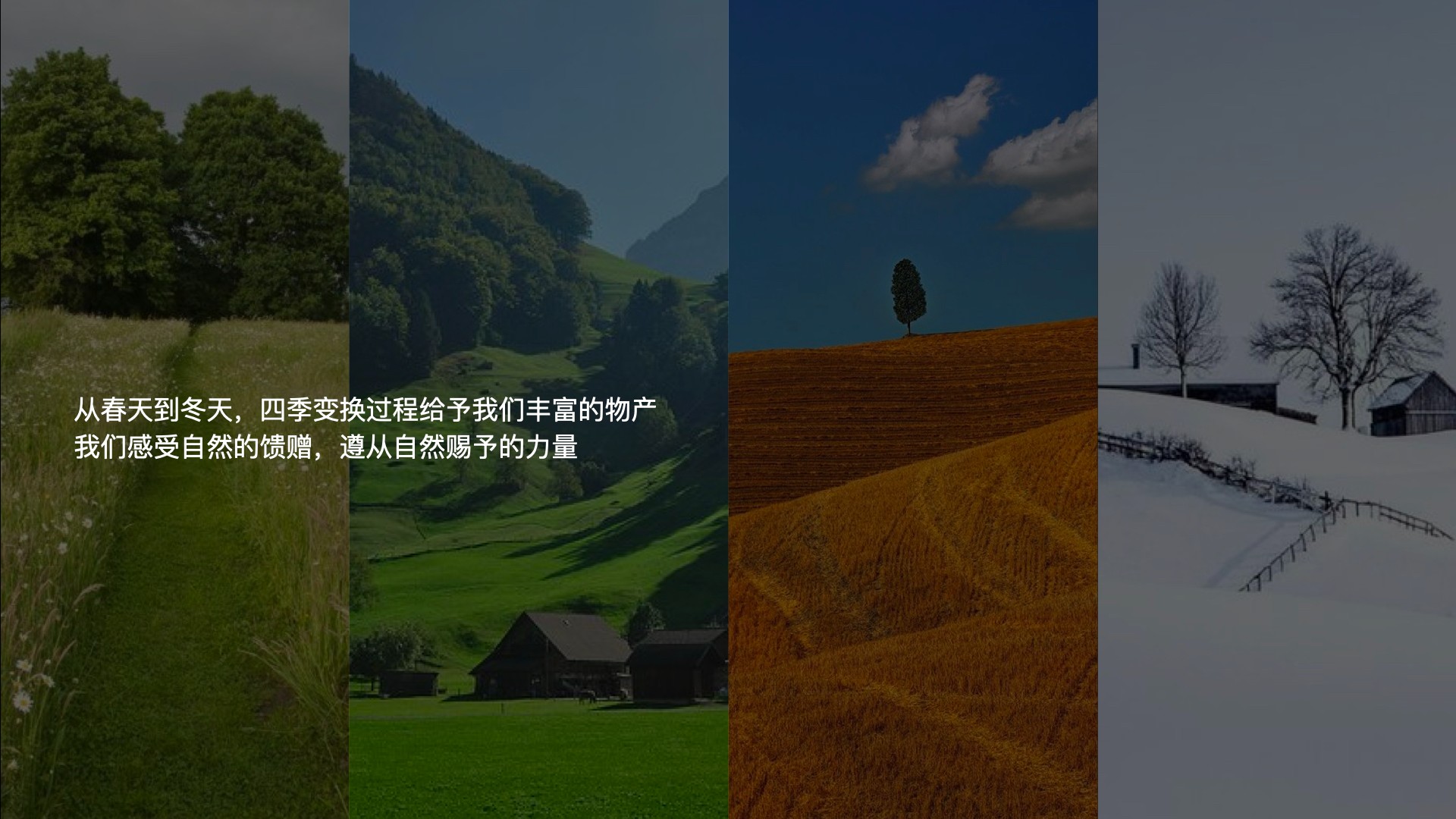 2雜糧項(xiàng)目_視覺概念_12:26.001.jpg