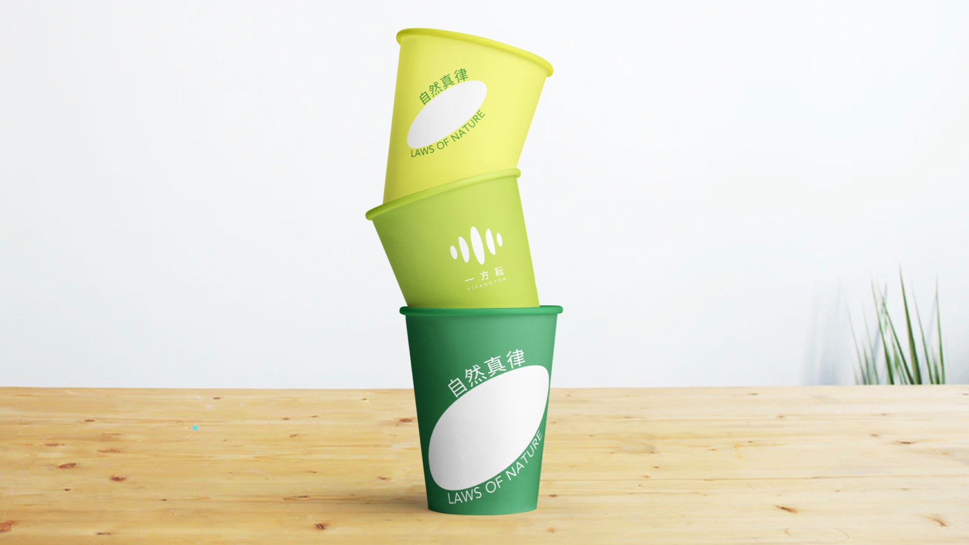 一方耘品牌設(shè)計(jì)_有機(jī)雜糧vi設(shè)計(jì).jpg