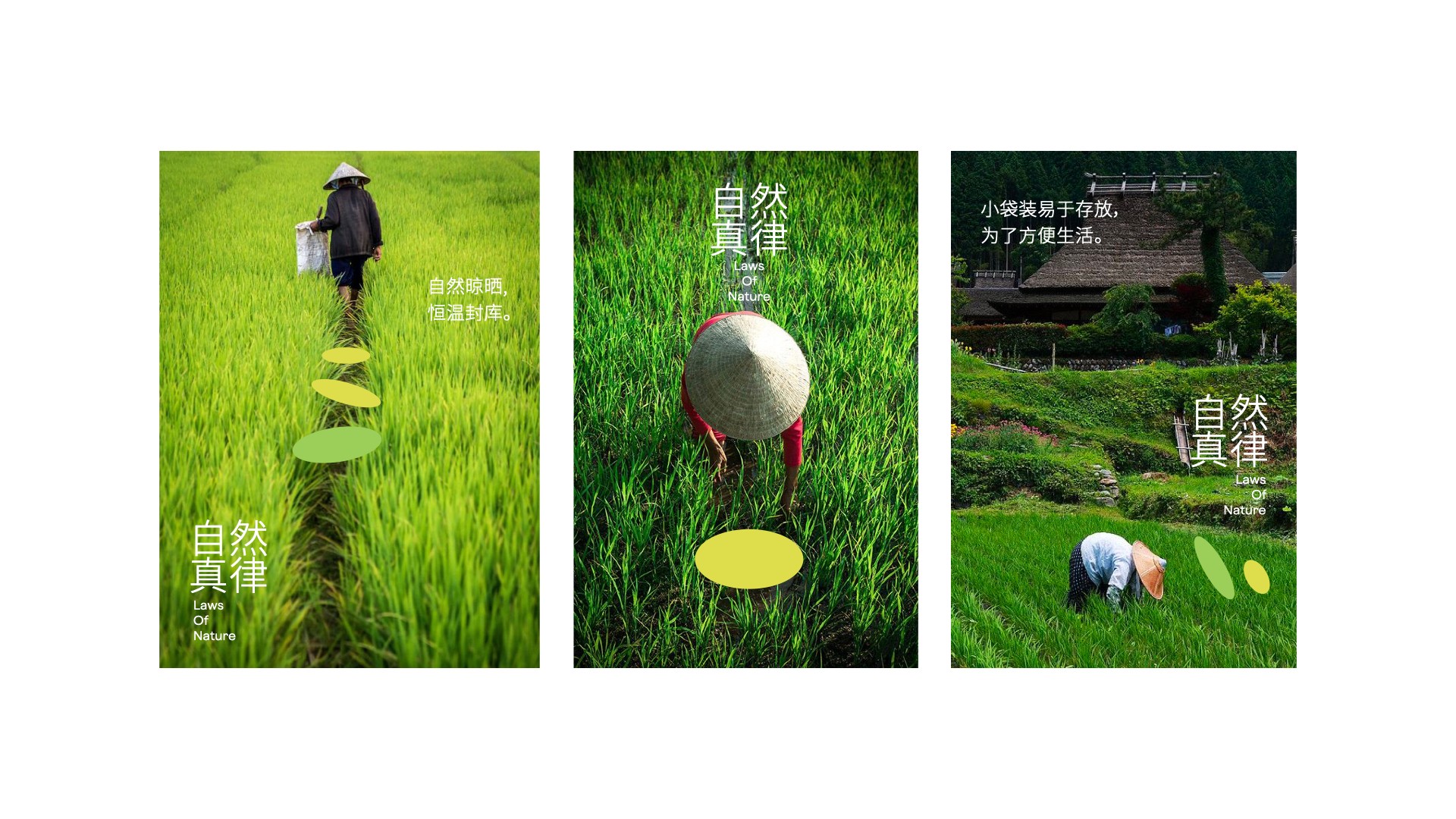 一方耘vi設(shè)計(jì)_雜糧海報(bào)設(shè)計(jì).jpg